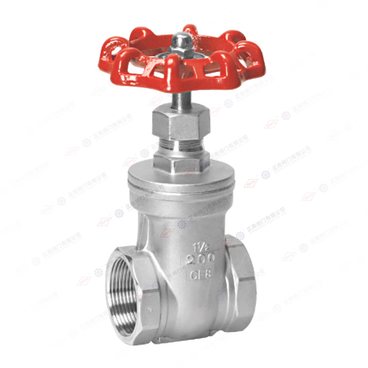 Шелковый затвор