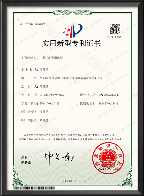 Практический новый патентный сертификат