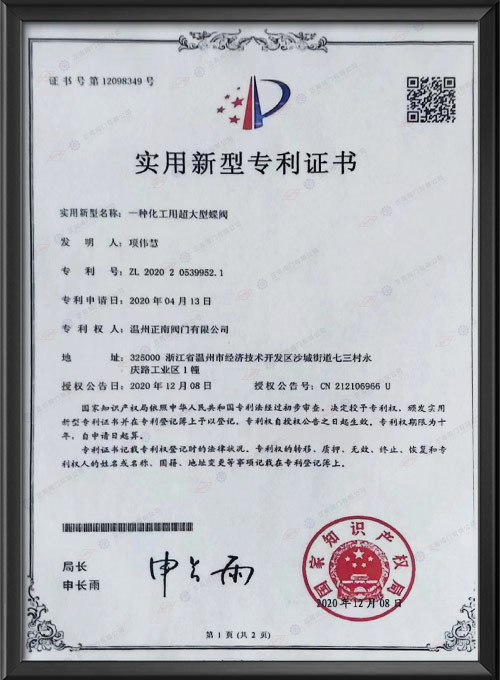 Практический новый патентный сертификат