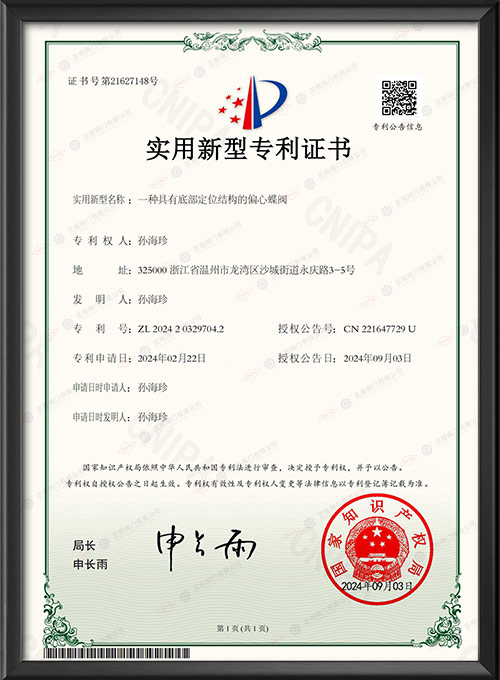 Практический новый патентный сертификат