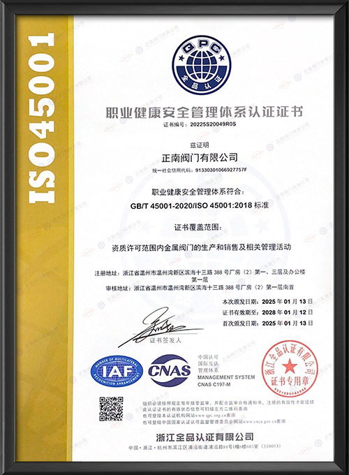 Сертификат сертификата профессиональной системы здравоохранения и безопасности