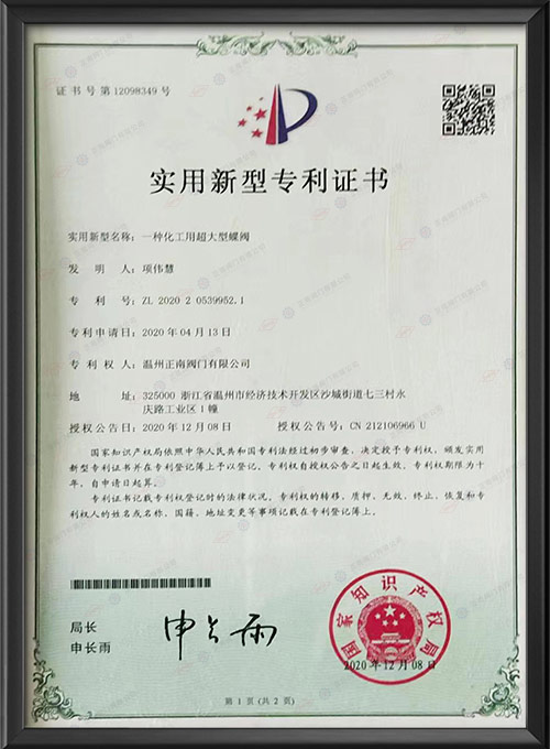 Практический новый патентный сертификат