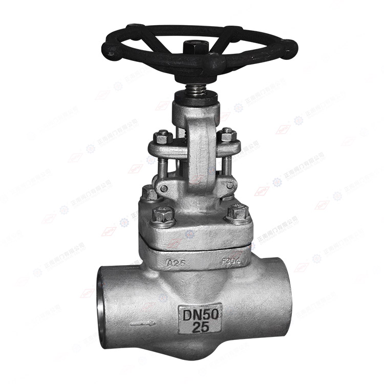 Стальной затвор 304