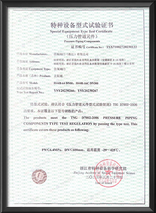 Экспериментальный сертификат специального оборудования-обратный клапан