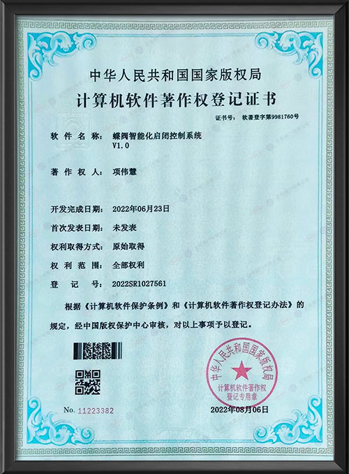 Сертификат регистрации авторских прав на компьютерное по